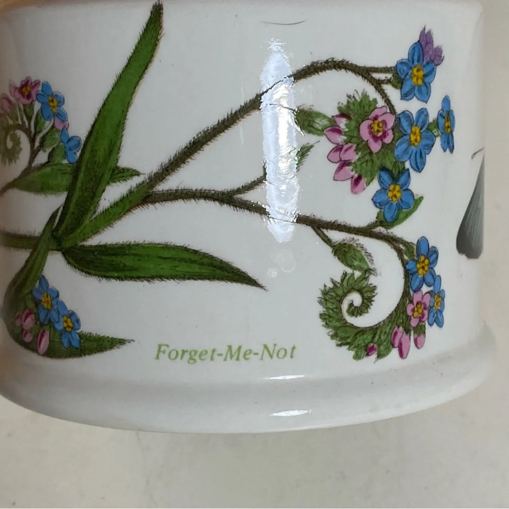 Discontinued Portmeirion Botanic Garden Forget-Me-Not Lotion Soap Dispenser